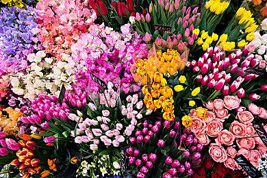 3DM速报：《战地》系列大乱斗“门户” 《死亡空间》初代确认重制