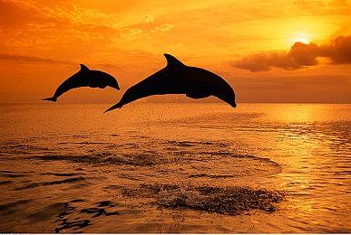 《最终幻想7：核心危机 再融合》媒体评分解禁 M站均分77